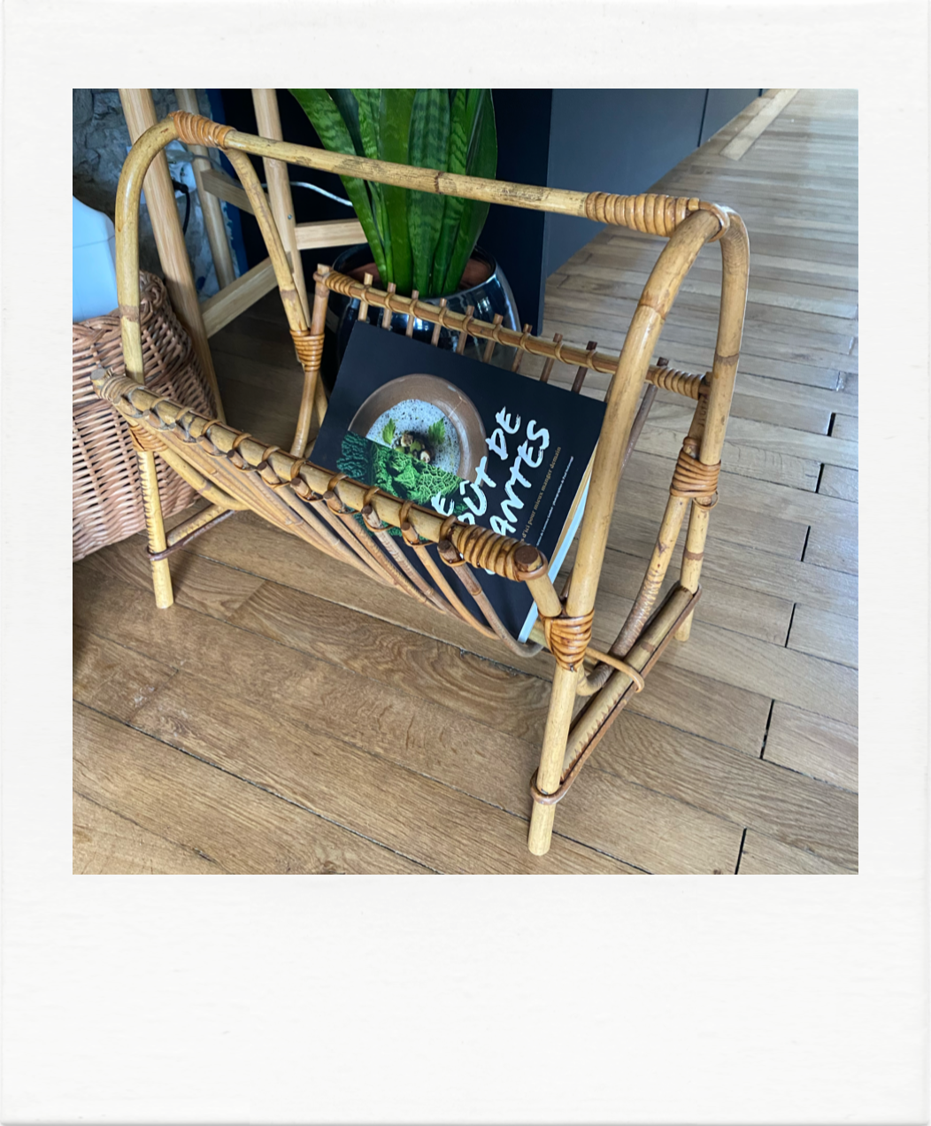 Rattan magazine door