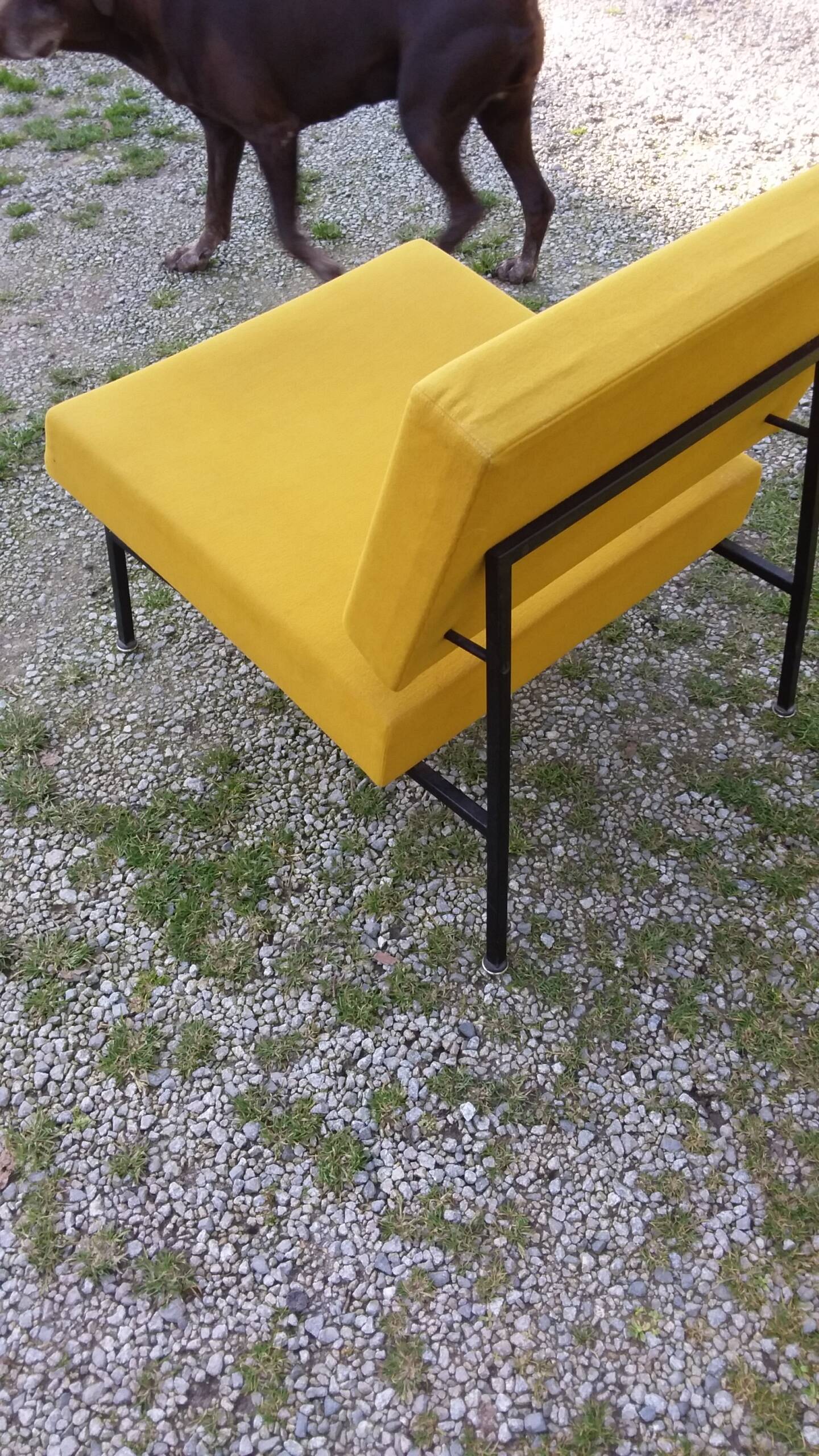 Vintage 50s armchair with black metal base and fabric seats