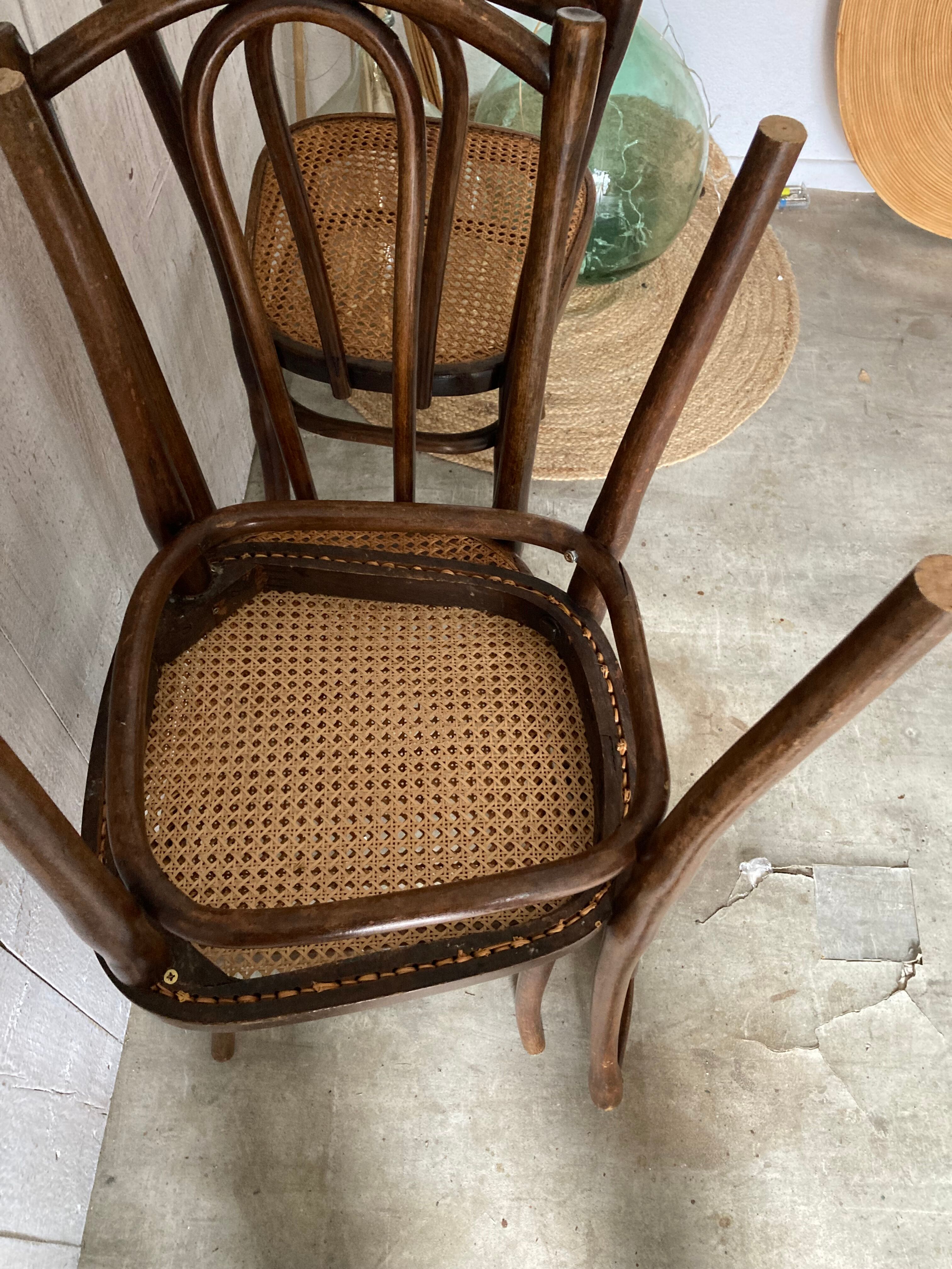 Series of 3 Thonet chairs