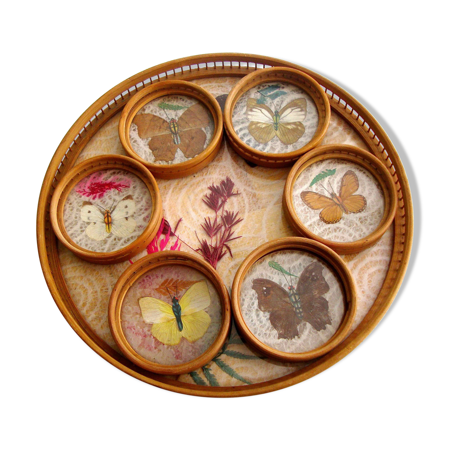 Butterfly tray and coasters