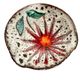 Vintage ceramic catchall dish from Vallauris, 1960s, floral.