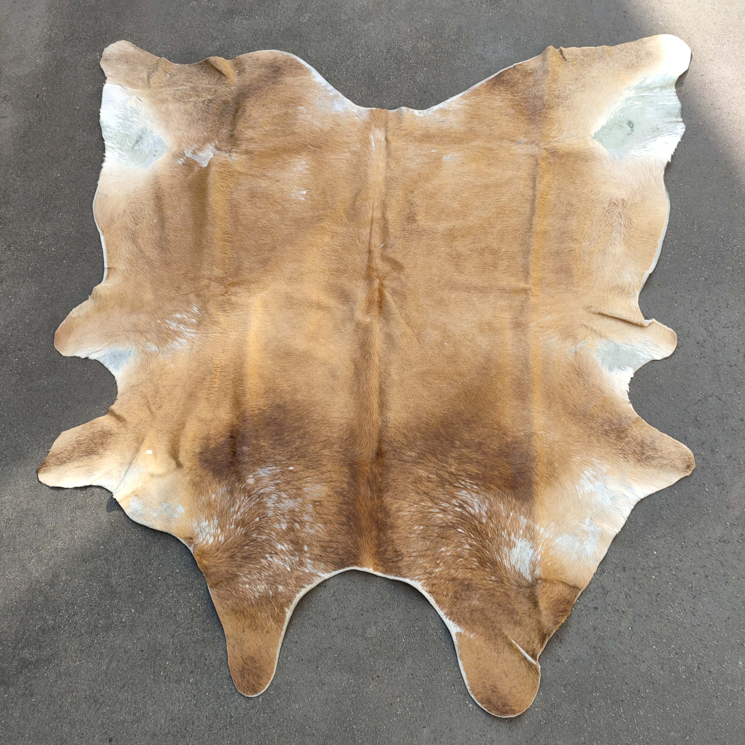 Large Cow skin 200x200cm