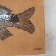 Ceramic fish dish signed R. Capron