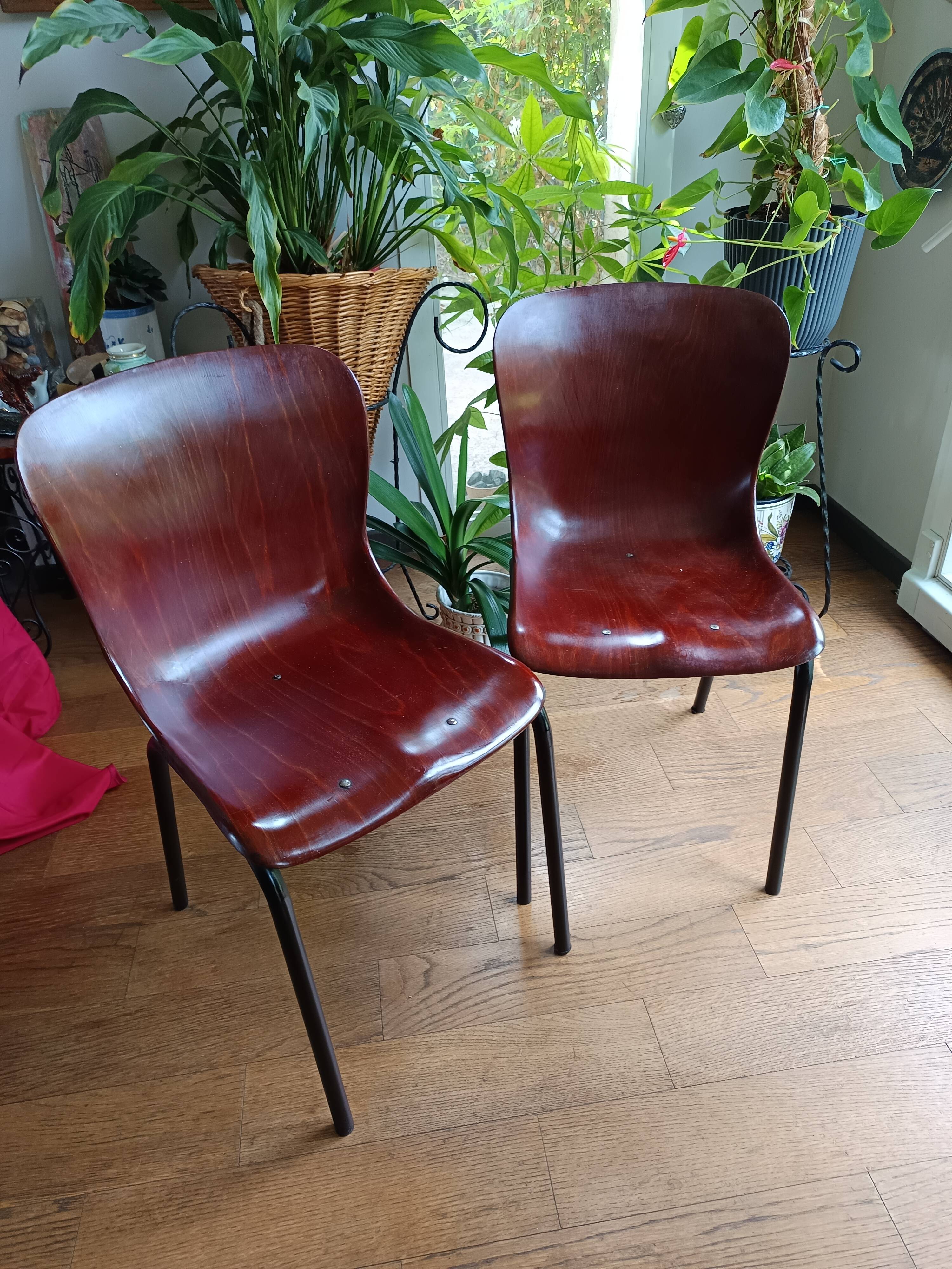 pair of vintage Pagholz chairs 1960s/1970s