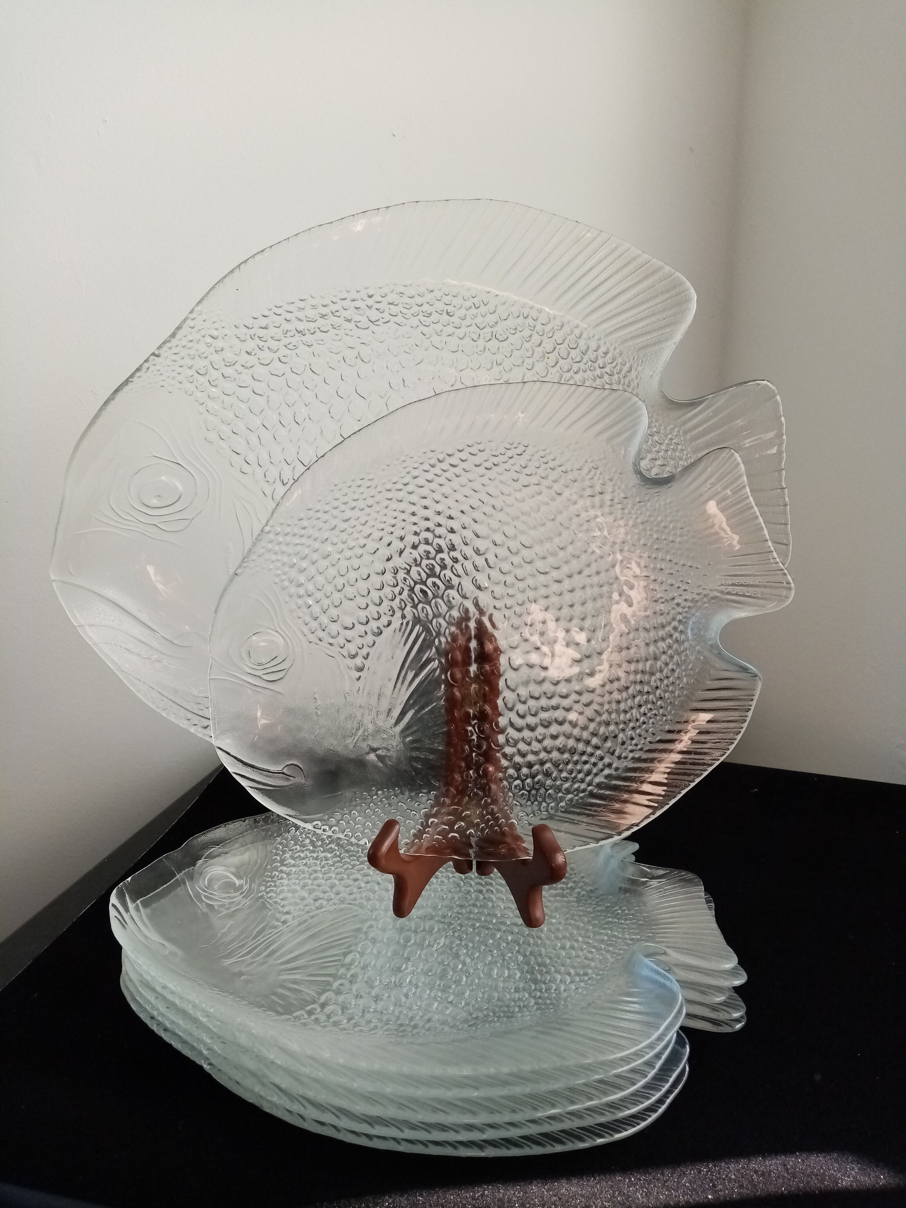 Arcoroc Fish Service