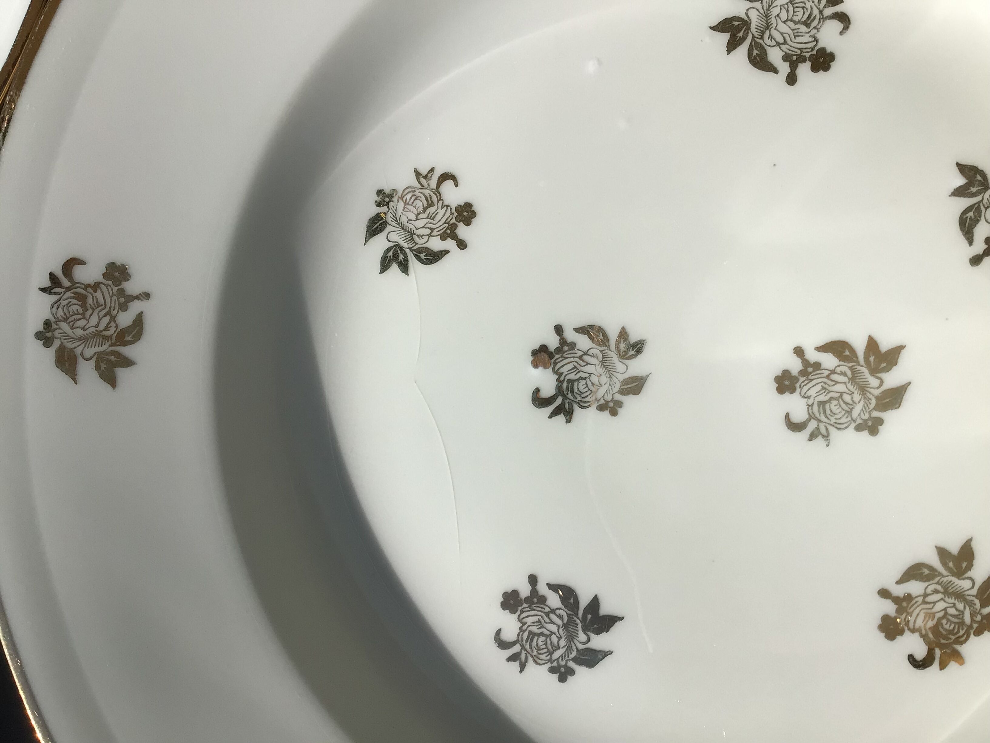 6 assiettes creuses porcelaine ivoire décor or roses
