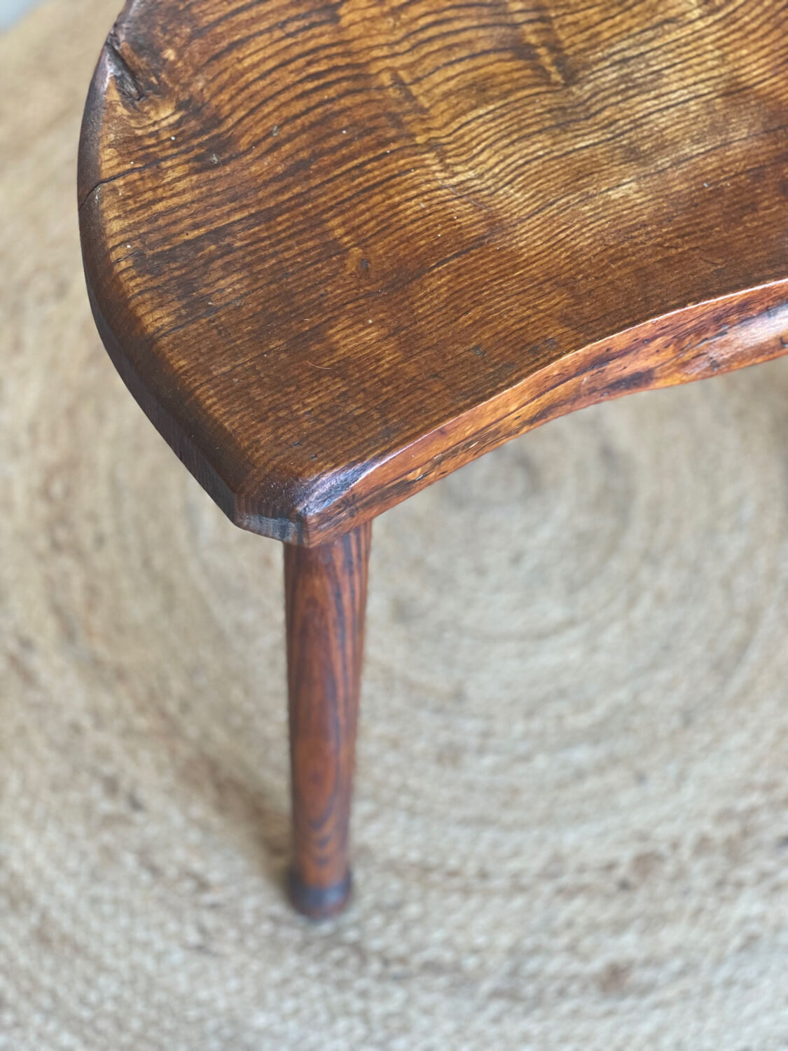 Oak cowbird stool