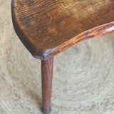Oak cowbird stool