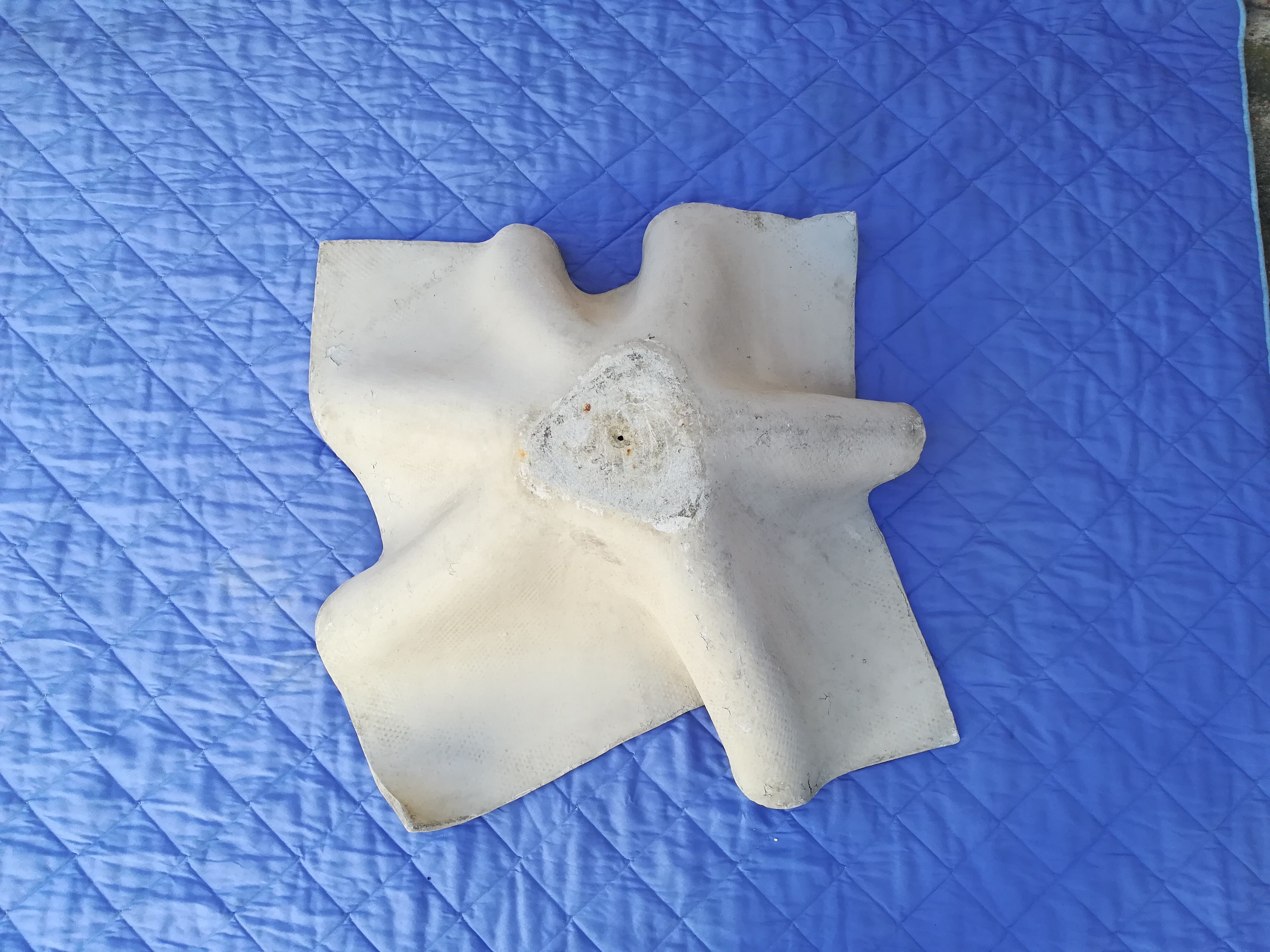 Gardener of Willy Guhl of the 60s