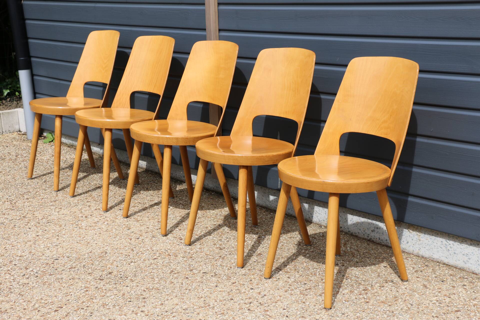 5 BAUMANN “MONDOR” light beech chairs