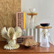 Shell jewelry box
