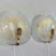 Set of 2 Murano glass wall lamps by Hillebrand 1960’s