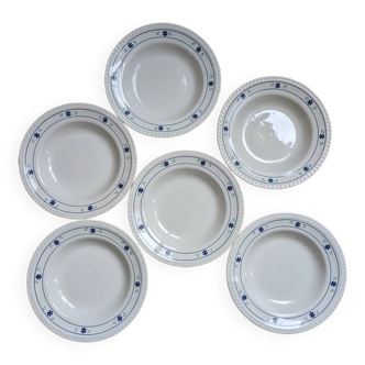 6 soup plates with blue flowers