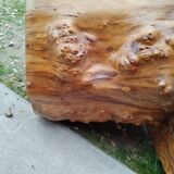 Table basse tronc d'arbre en loupe d'orme