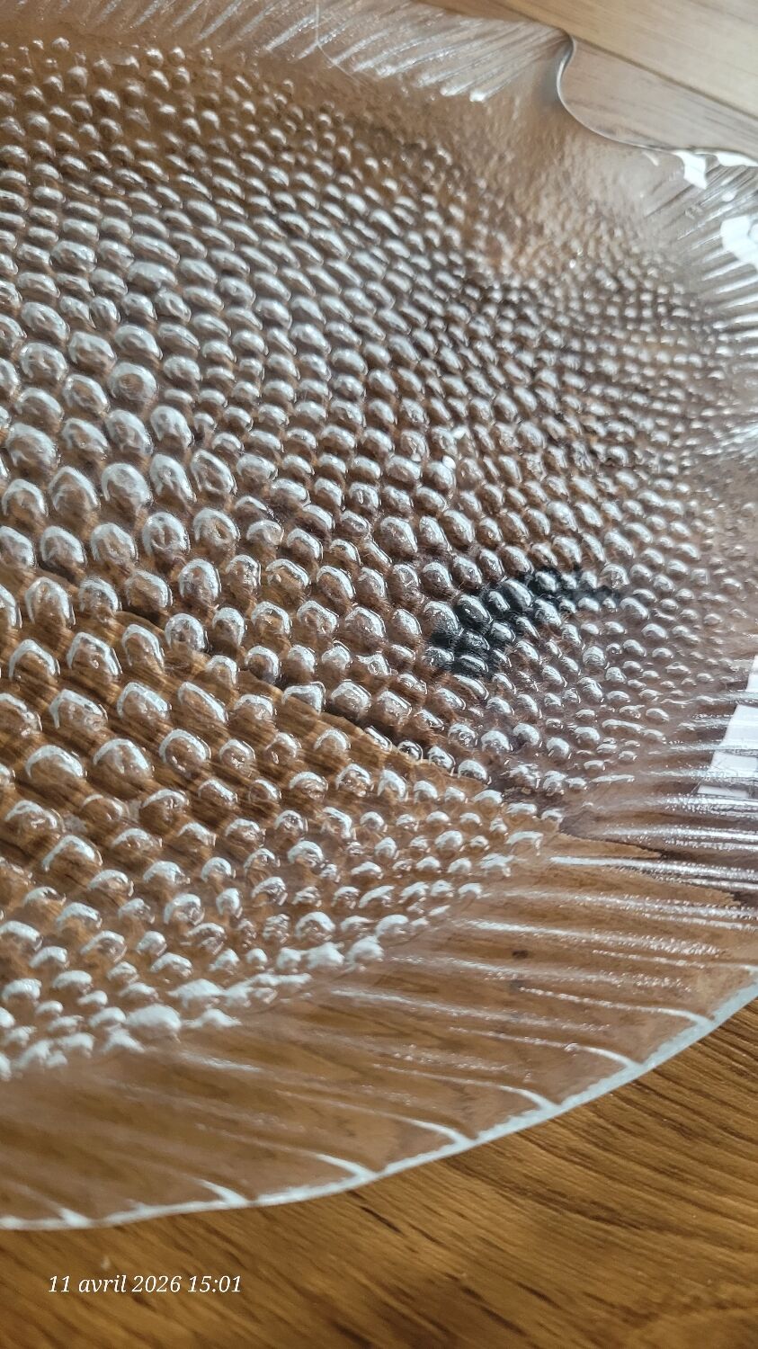 4 transparent glass fish plates