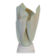 Corolla lamp