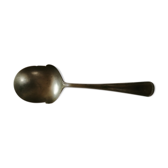 Ice spoon