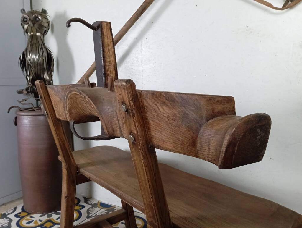 Brutalist bench bull's head file