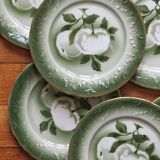 7 earthenware dessert plates with apple decoration and barbotine outline KG Lunéville