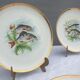 Set 12 plates porcelain fish edge laurel gold Bernardaud