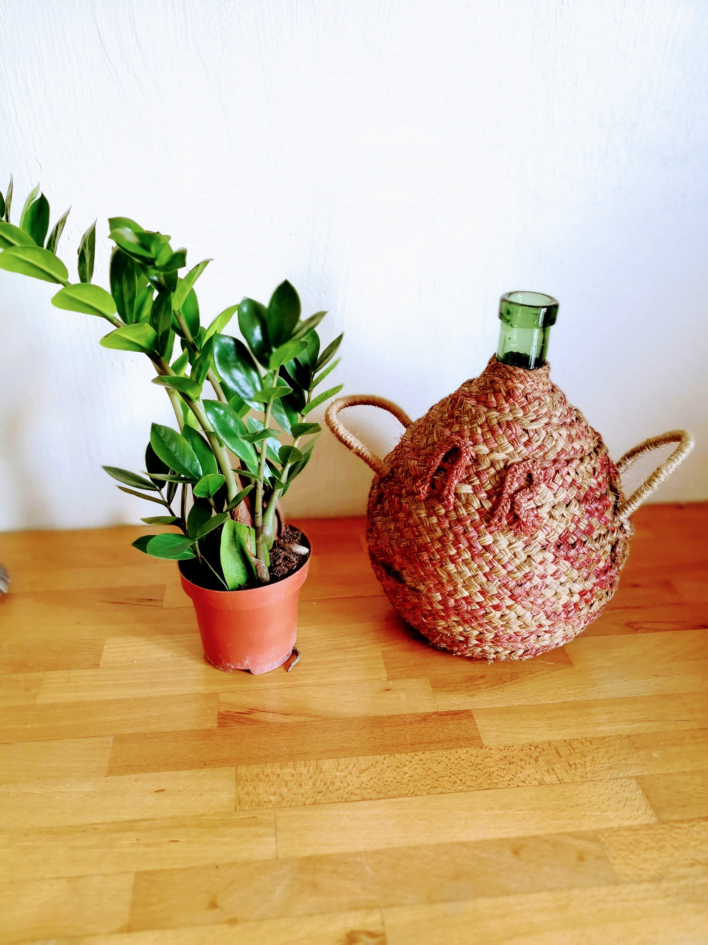 Dame Jeanne dressed and embroidered