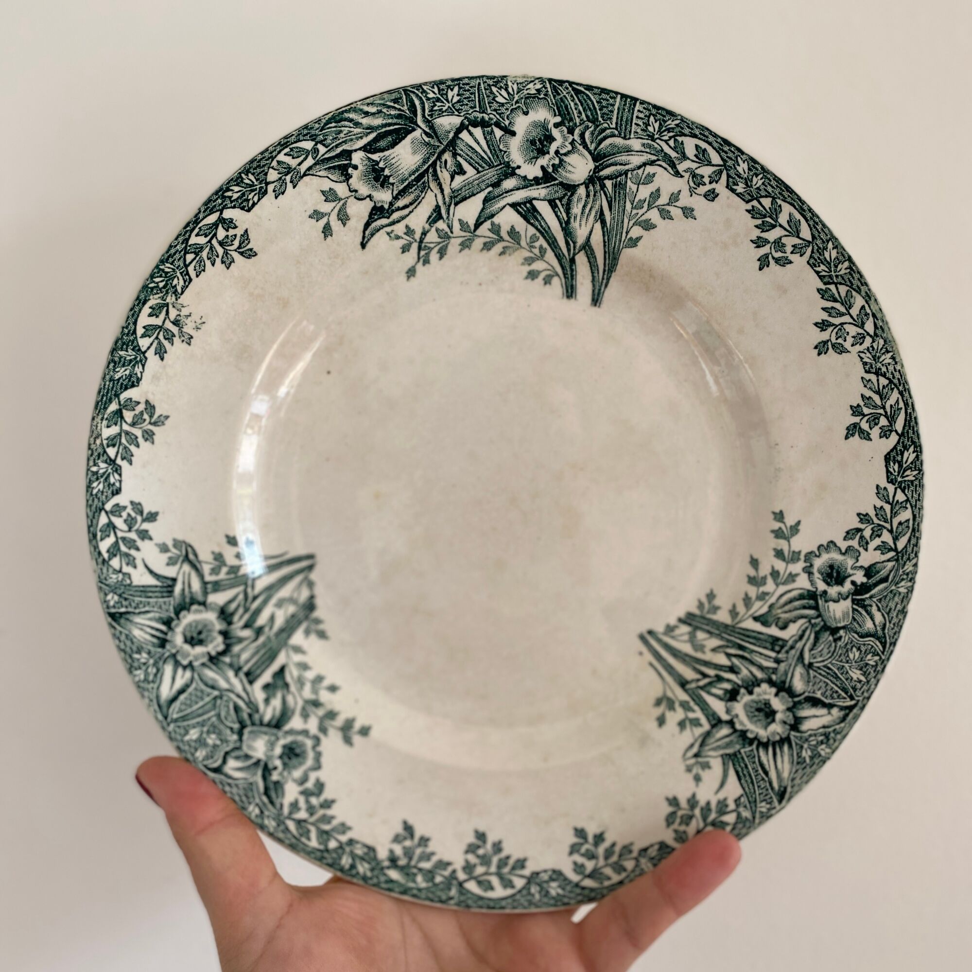 Set of 8 vintage flat plates in iron earth, model Narcisses de Saint Amand (LOT1)