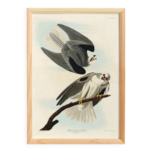 Affiche sur le Milan blanc, d’après une gravure ancienne de 1827.