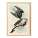 Poster about the White Kite, based on an old engraving from 1827.