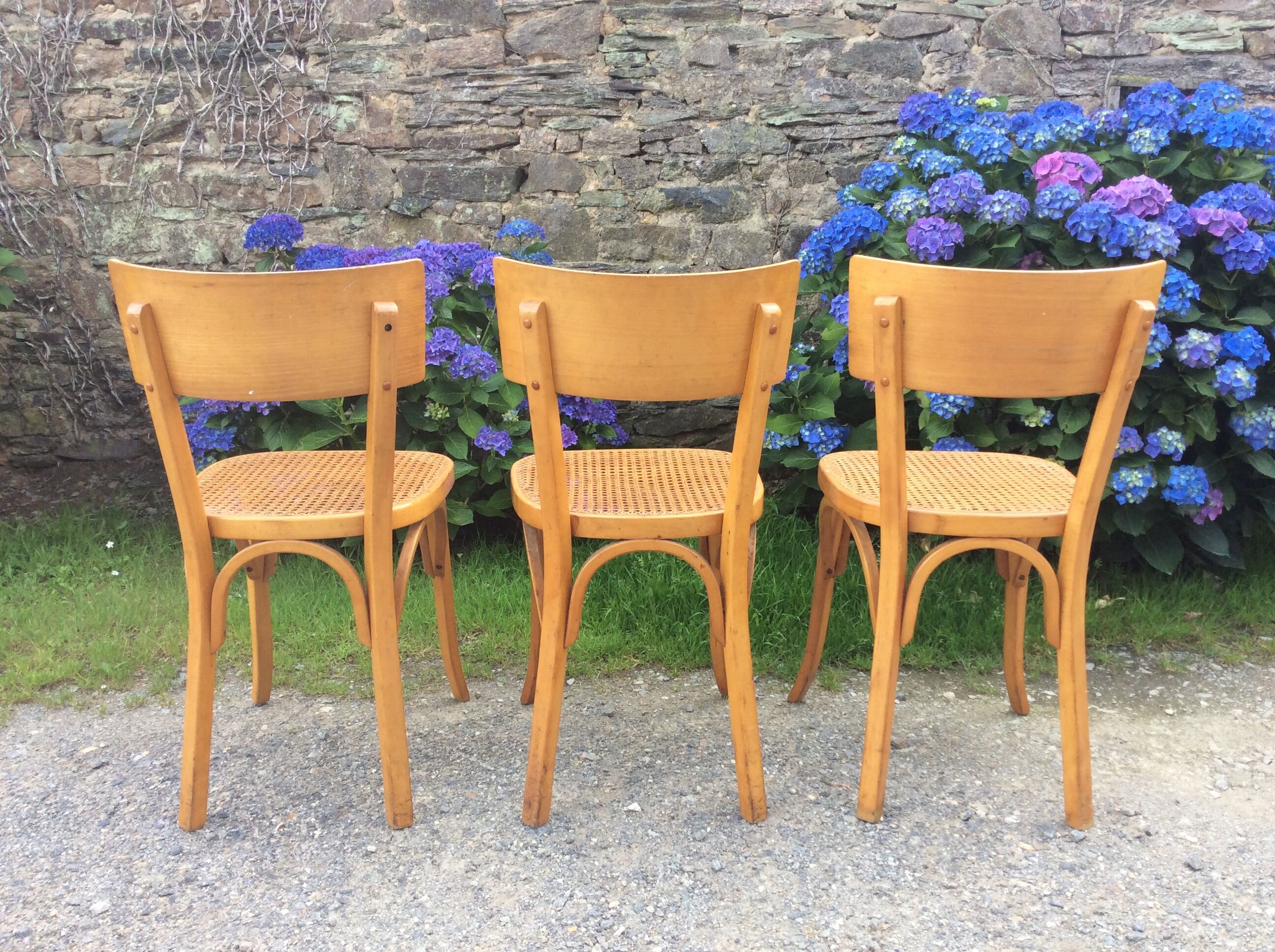 Trio de chaises cannées de style Bauman en hêtre non estampillées.