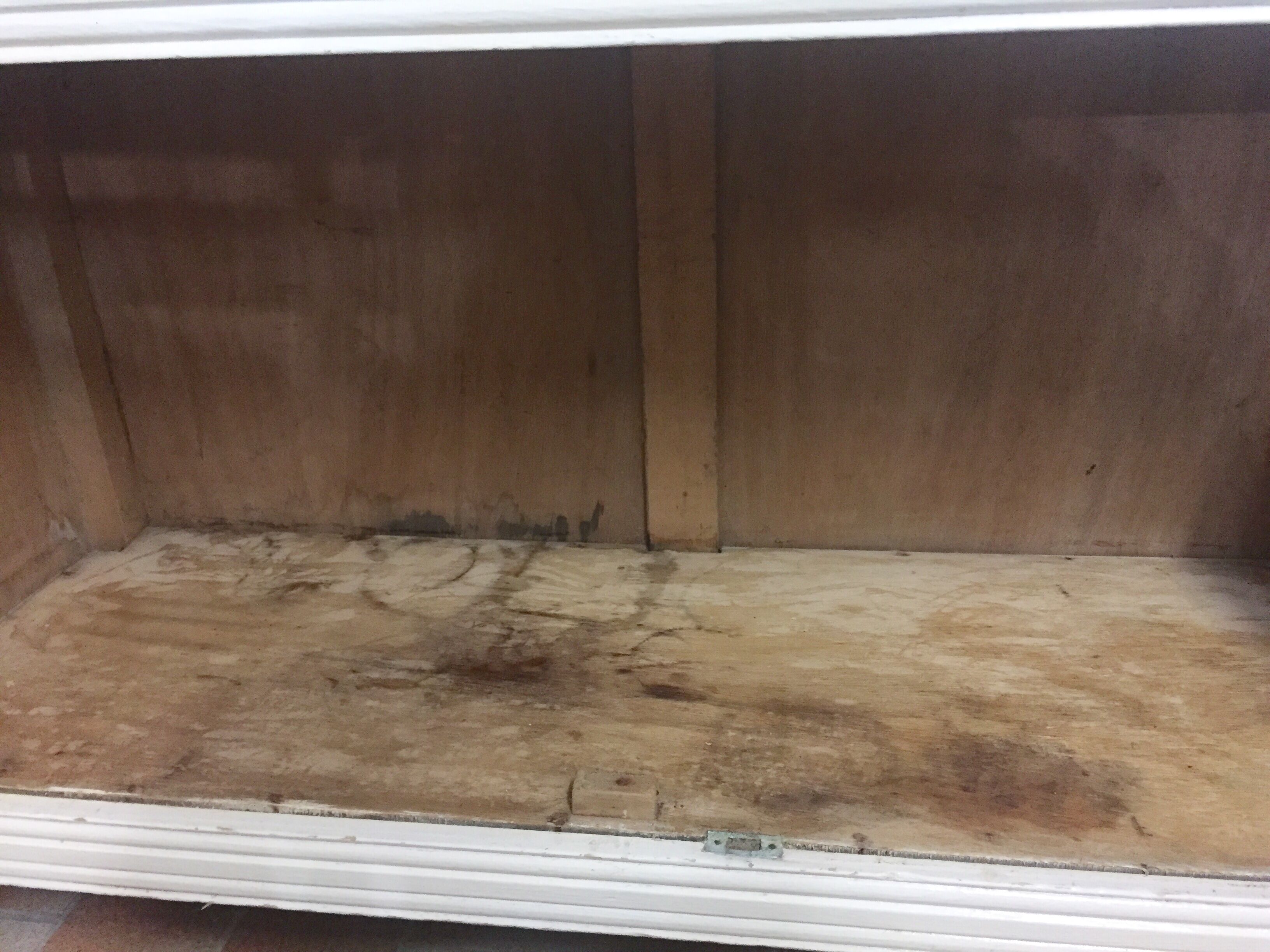 Parisian buffet, 1960