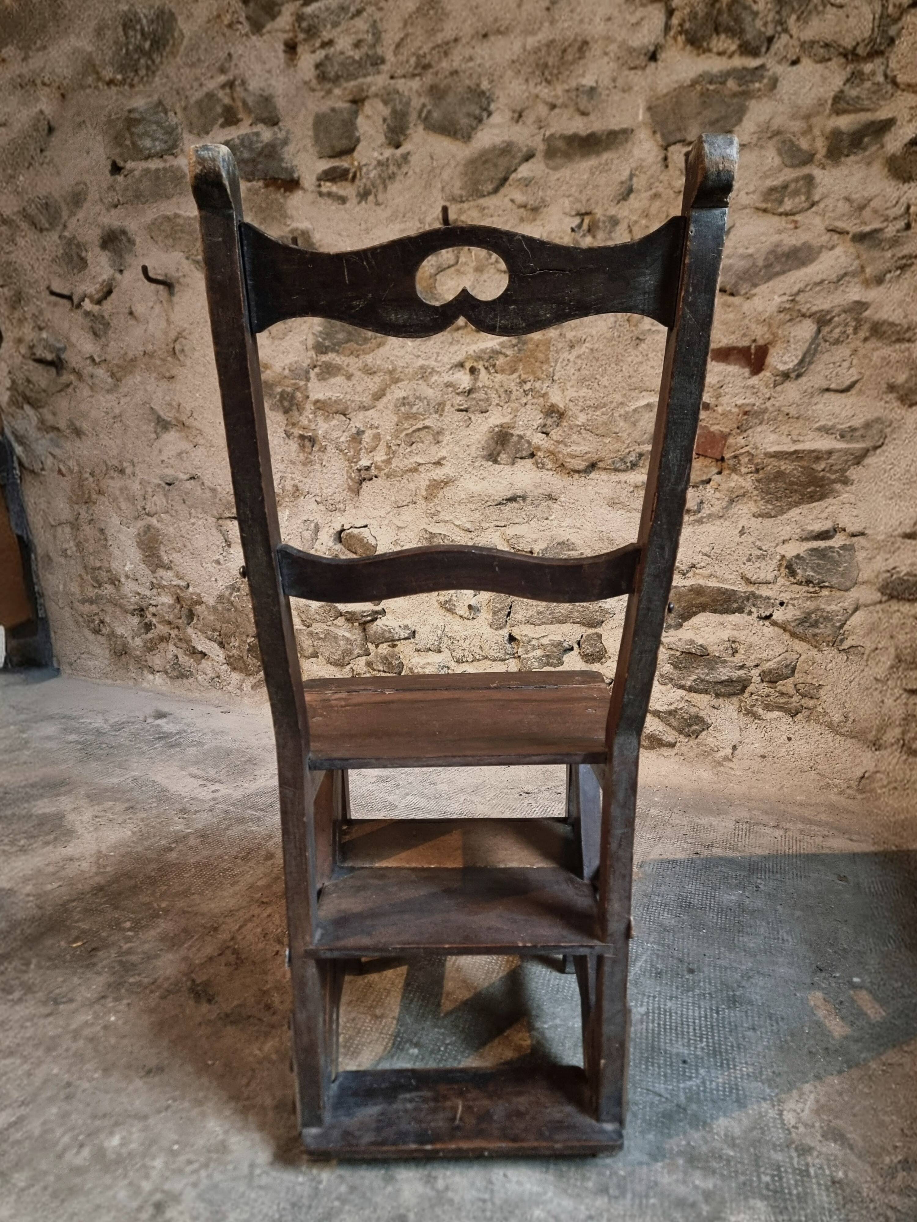 Chaise escabeau de bibliothèque ancienne – Chaise métamorphique en hêtre, France, début 1900