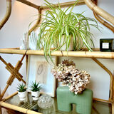 Rattan and glass shelf