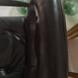 Stellcase Strafor Randall Buck DLG armchair by Pollock for Knoll