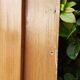 Cupboard door frame 121x97cm old wood paneled molded