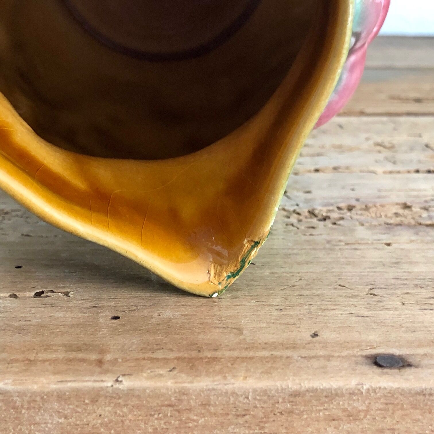 Salins dabbling pitcher the baths