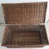 Wicker trunk
