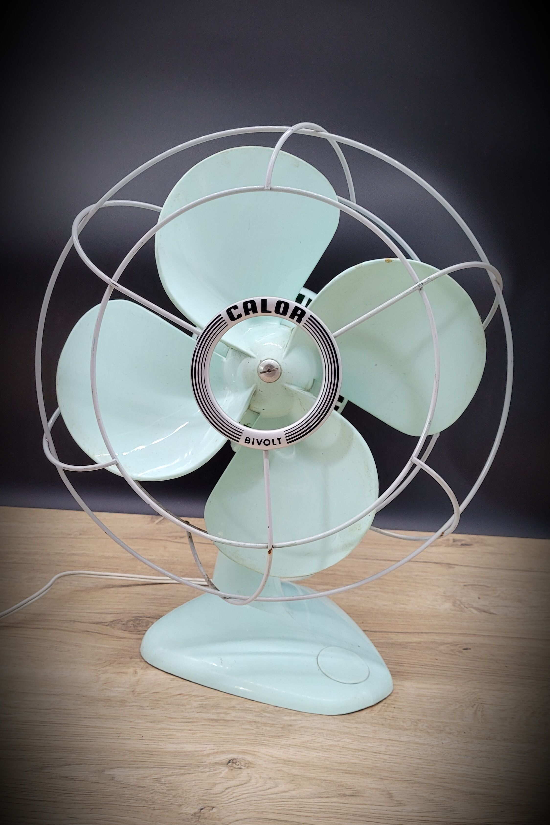 Calor 60s fan