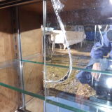 Counter shop window