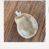 Mother-of-pearl empty pocket