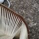 Paire de suspensions vintage en bois et pailles de rotin.