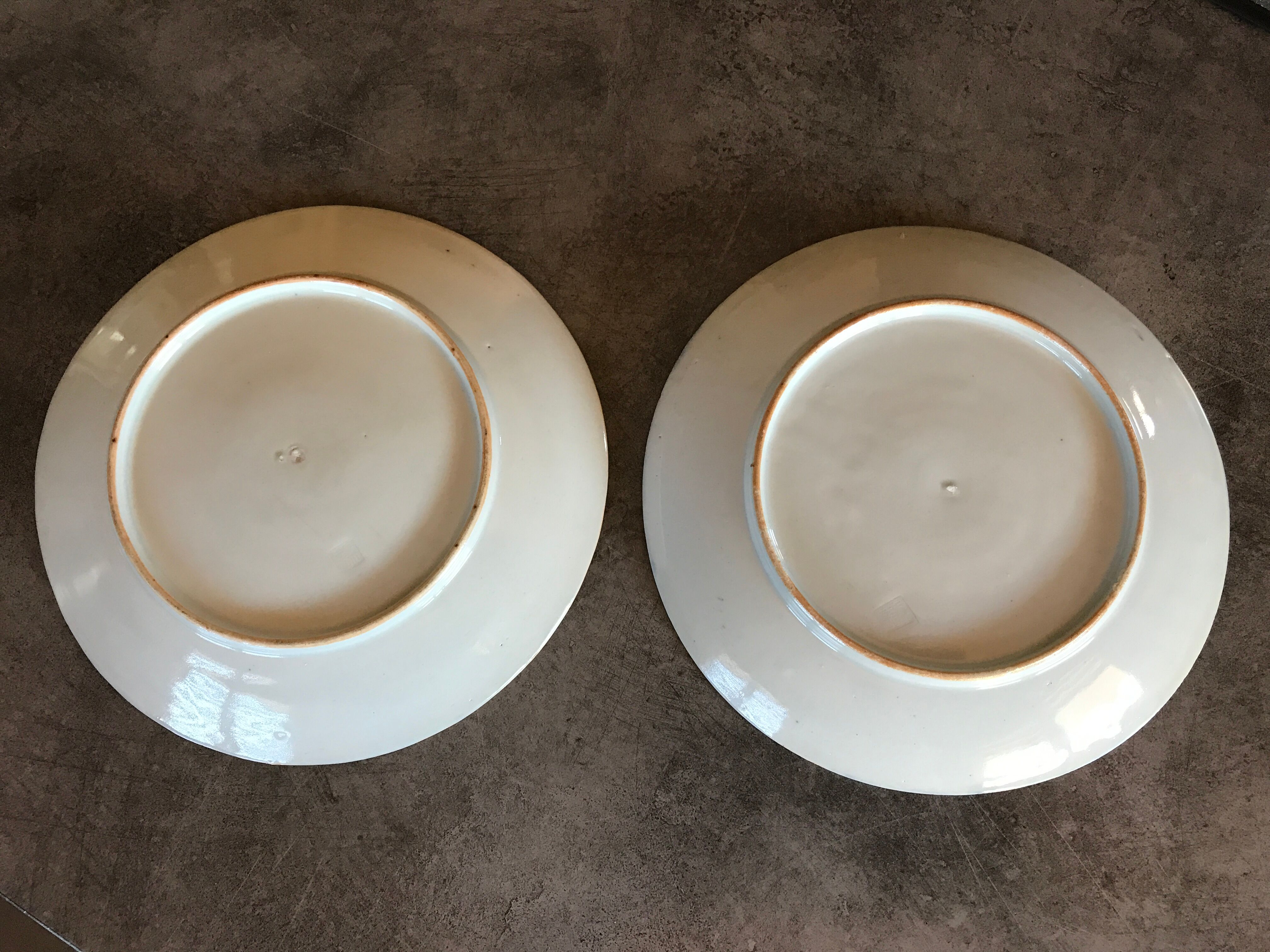 Pair of vintage japanese igezara plates decorated with floral and bird motifs