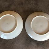 Pair of vintage japanese igezara plates decorated with floral and bird motifs