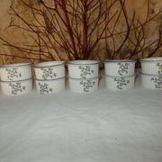 Set of 10 porcelain ramekins