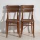 Paire de chaises Mundus-Borlo en bois courbé à dossier plein – Roumanie, vers 1920