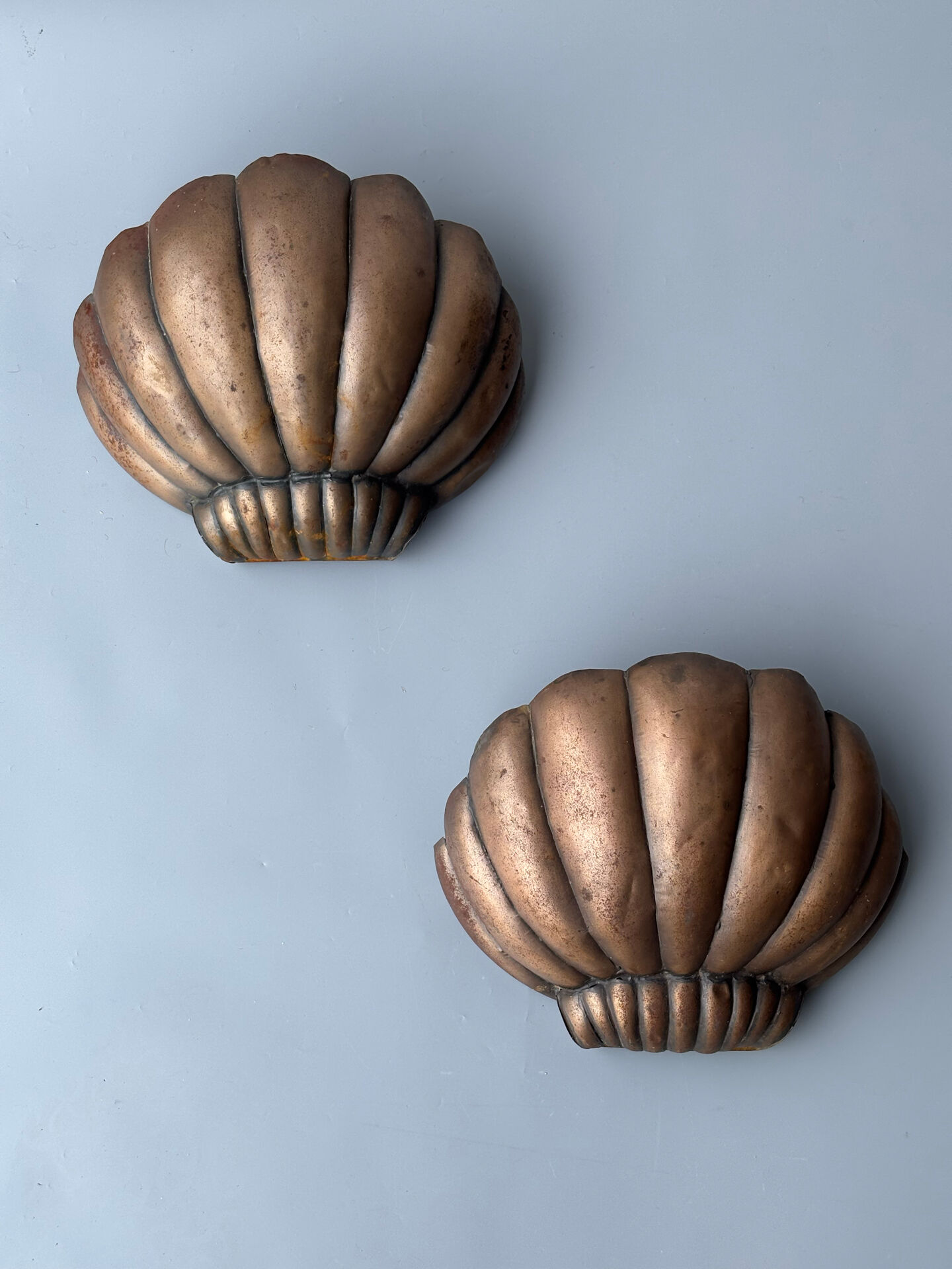 Paire d’appliques coquille Saint-Jacques 1960