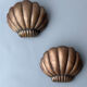 Paire d’appliques coquille Saint-Jacques 1960