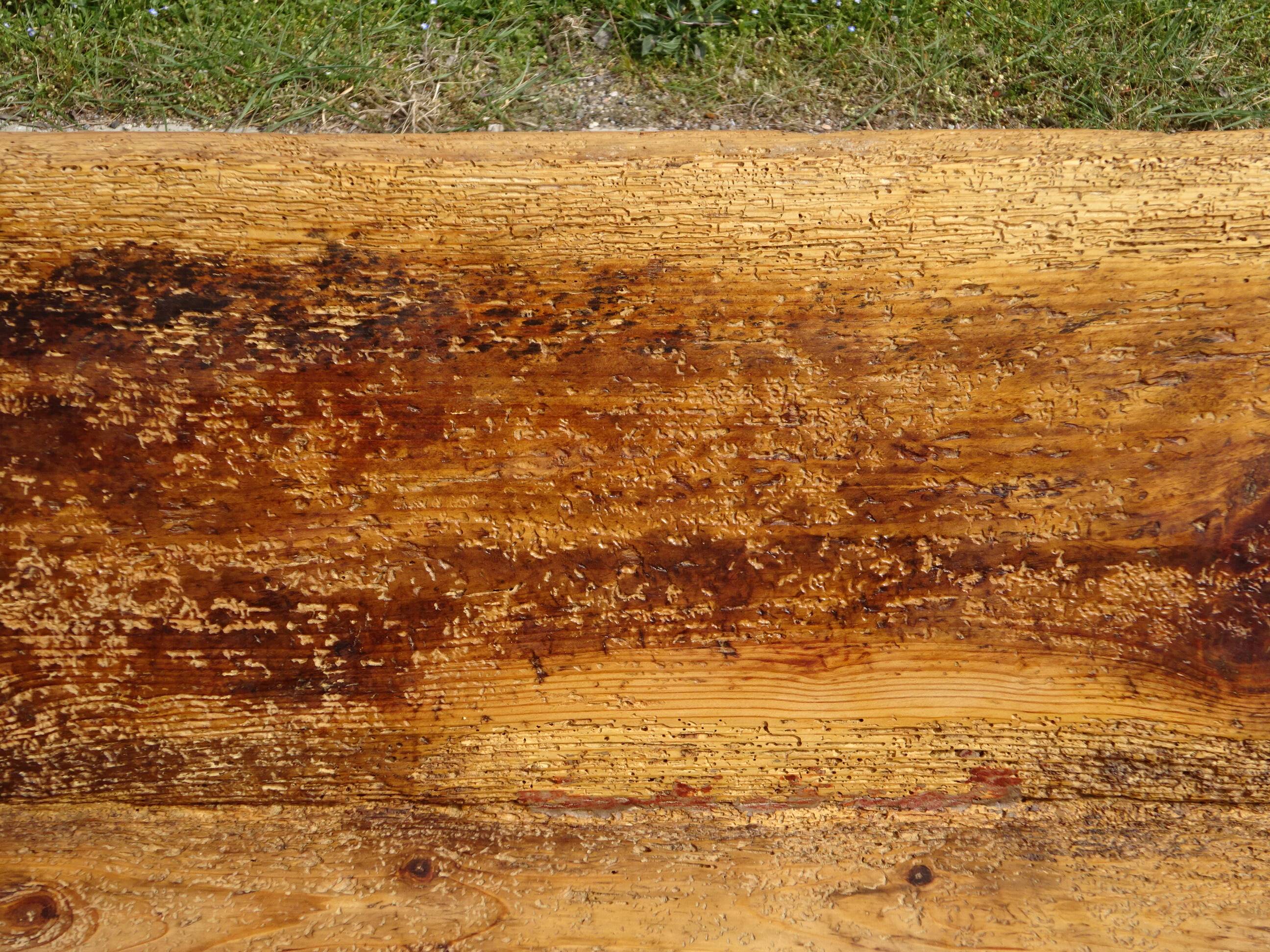Very old solid oak dough trough with a lid and removable legs.