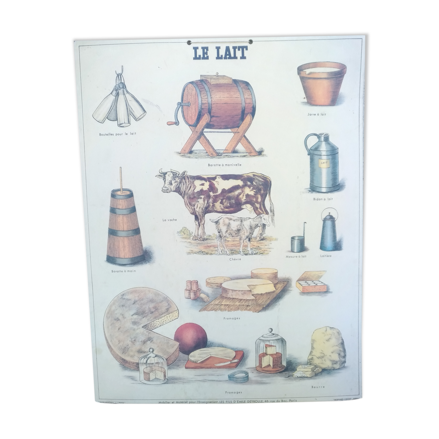 Pedagogical school poster, the lait