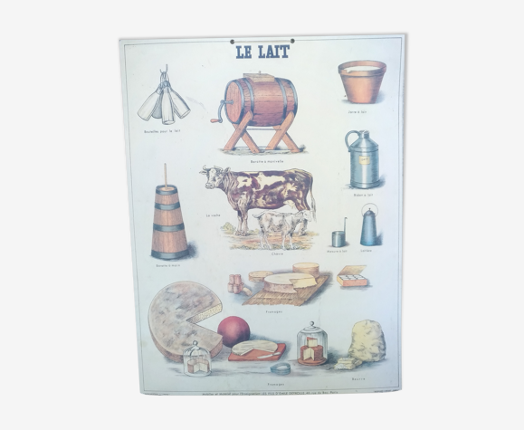 Affiche scolaire pedagogique, le lait