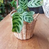 Rattan basket
